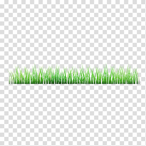 green grass plant grass family lawn, Watercolor, Paint, Wet Ink, Wheatgrass, Artificial Turf transparent background PNG clipart