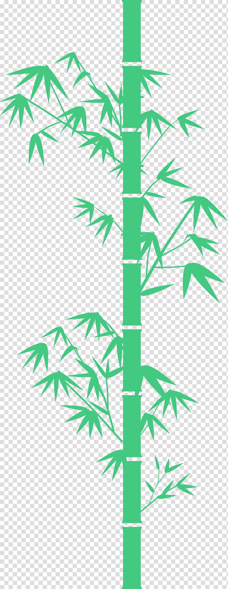 Palm tree, Bamboo, Leaf, Watercolor, Paint, Wet Ink, Green, Plant transparent background PNG clipart