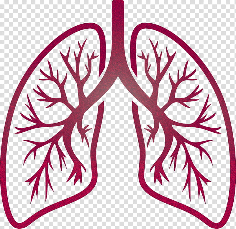 lungs COVID Corona Virus Disease, Leaf, Pink, Tree, Plant, Magenta transparent background PNG clipart