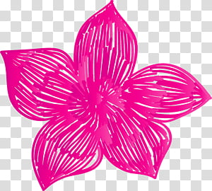 Mexico elements, Petal, Flower, Plant Stem, Garden Roses, Cut Flowers, Floral Design, Pink transparent background PNG clipart thumbnail