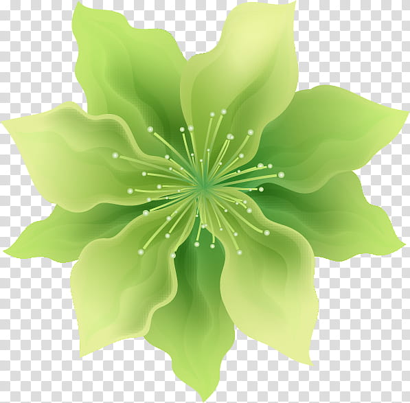 Green Leaf, Petal, Flower, Nosegay, Plants, Pop Music, Mental , Marriage transparent background PNG clipart