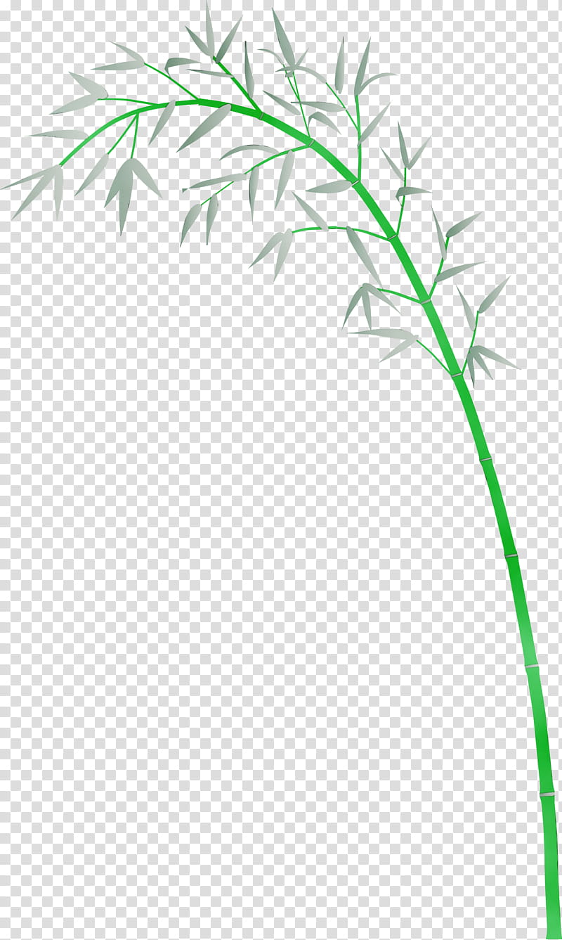 grass plant leaf plant stem grass family, Bamboo, Watercolor, Paint, Wet Ink, Flower, Elymus Repens, Twig transparent background PNG clipart