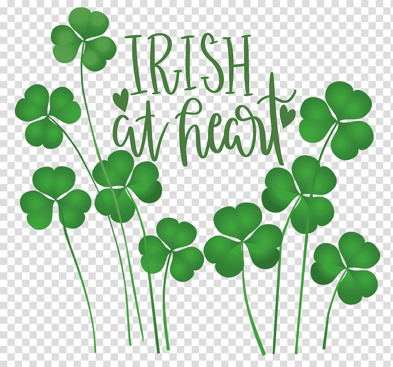 shamrock Irish Saint Patrick, Saint Patricks Day, White Clover, Fourleaf Clover, Irish People, Grasses transparent background PNG clipart