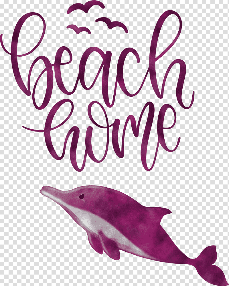 Beach Home, Dolphin, Meter, Biology, Science transparent background PNG clipart