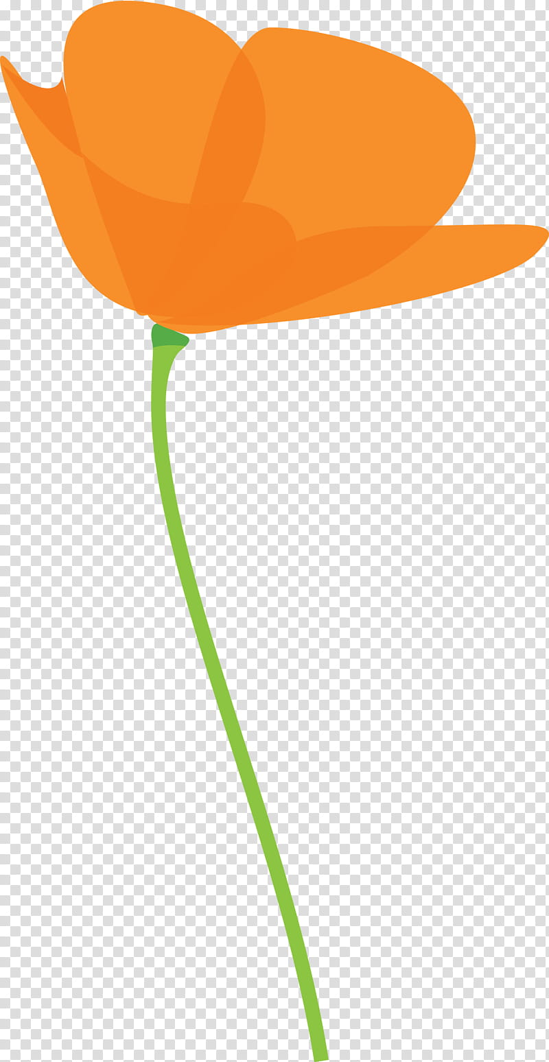 poppy flower, Orange, Yellow, Tulip, Plant, Lily Family, Anthurium, Plant Stem transparent background PNG clipart