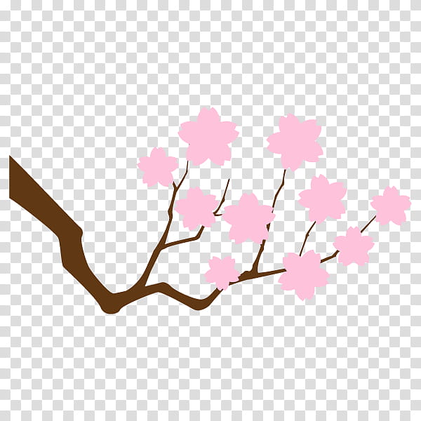 Cherry Blossom, Stau150 Minvuncnr Ad, Leaf, Floral Design, Pink M, Twig, Design M Group, Flower transparent background PNG clipart