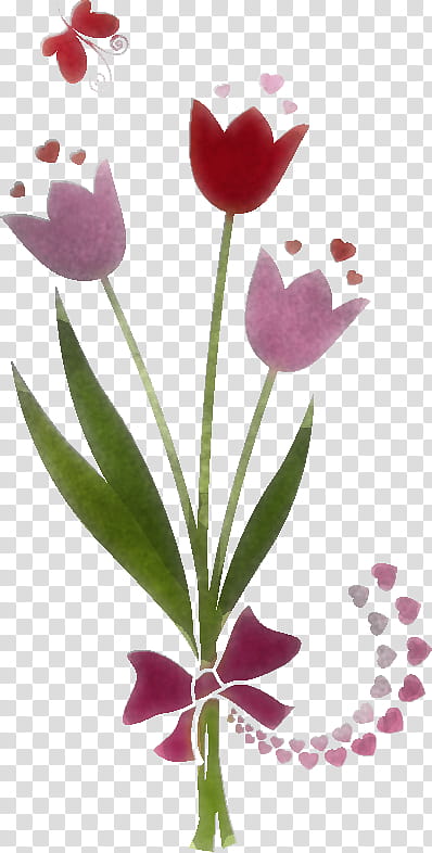 Tulip Bouquet Flower Bouquet flower bunch, Plant, Pedicel, Petal, Plant Stem, Lily Family transparent background PNG clipart