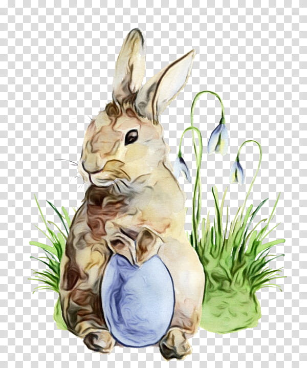 Easter bunny, Watercolor, Paint, Wet Ink, Mountain Cottontail, Rabbit, Rabbits And Hares, Snowshoe Hare transparent background PNG clipart