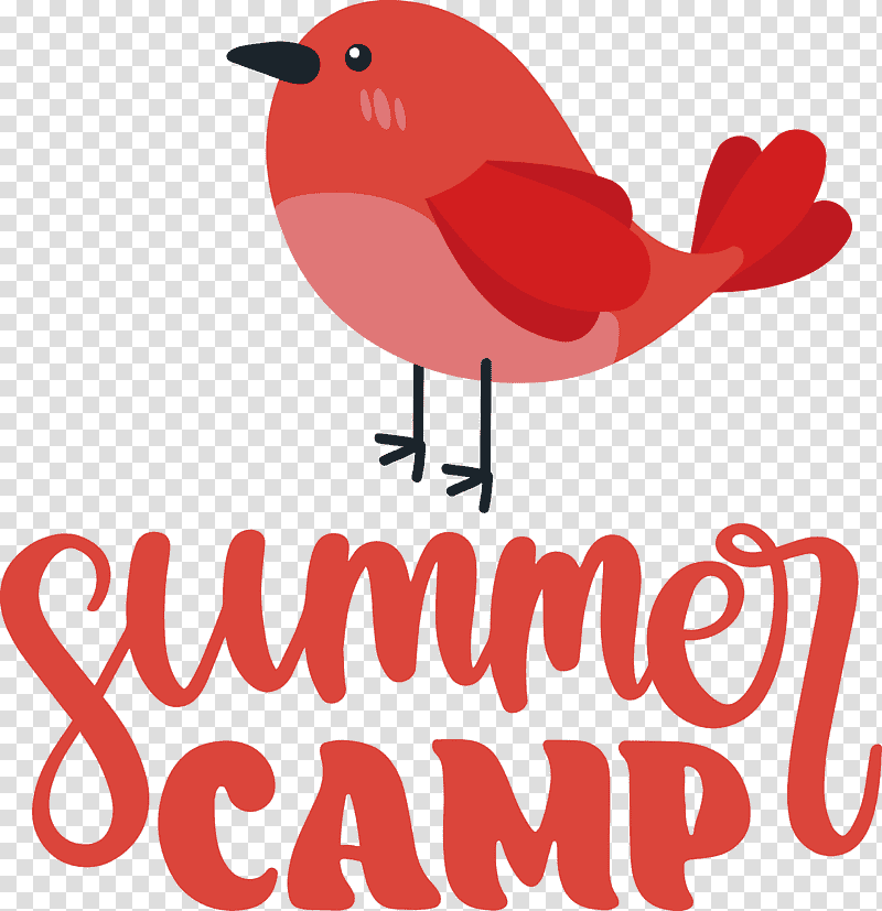 Summer Camp Summer Camp, Summer
, Birds, Logo, Beak, Red, Meter transparent background PNG clipart