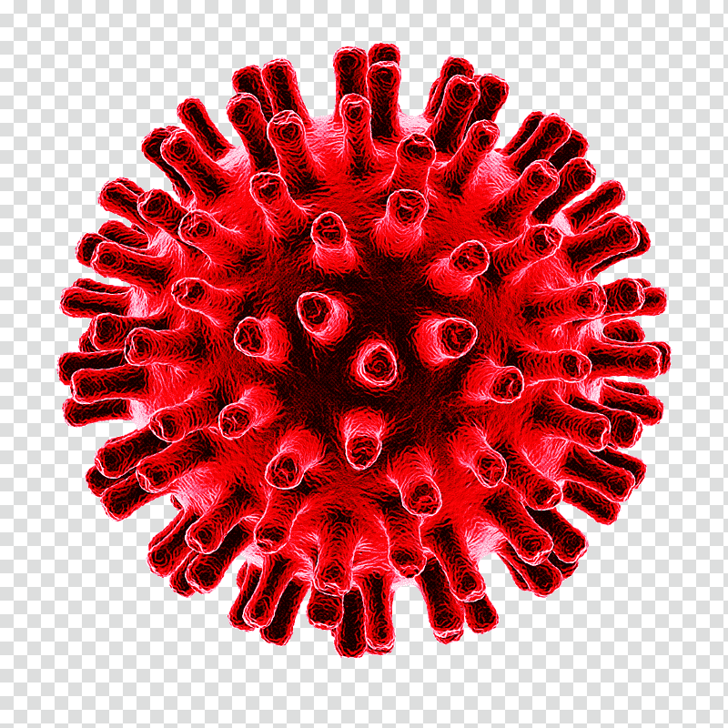 2019–20 coronavirus pandemic virus coronavirus disease 2019 coronavirus pandemic, Infection, Pathogen, Flu, Health, Cause, Health Care transparent background PNG clipart