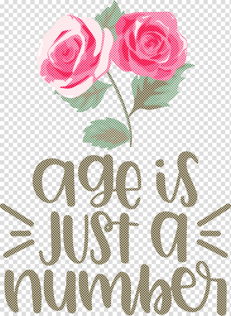 Birthday Age Is Just A Number, Birthday
, Floral Design, Garden Roses, Rose Family, Cabbage Rose, Cut Flowers transparent background PNG clipart
