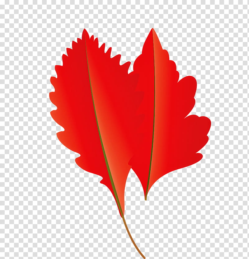 Fern, Autumn Leaf, Fall Leaf, Cartoon Leaf, Plant Stem, Red Maple, Tree, Silver Maple transparent background PNG clipart