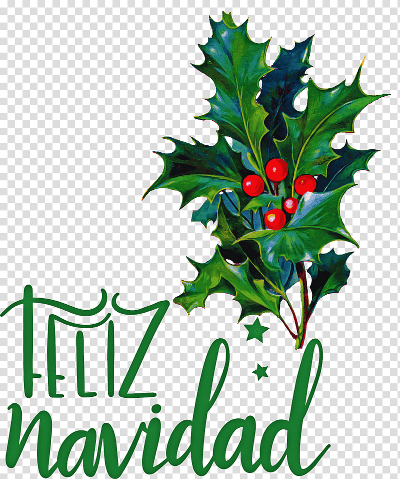 Feliz Navidad Merry Christmas, Christmas Day, American Holly, Christmas Card, Common Holly, Christmas Tree, Christmas Ornament transparent background PNG clipart