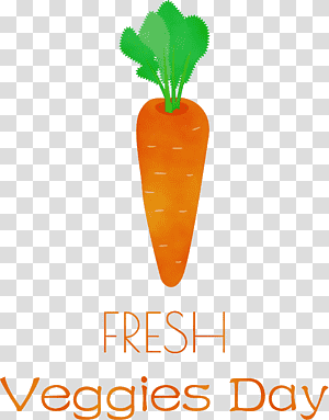 natural food superfood vegetable meter font, Fresh Veggies, Watercolor, Paint, Wet Ink, Fruit transparent background PNG clipart thumbnail