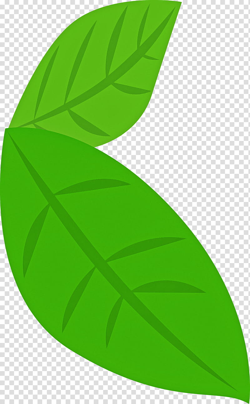 Banana leaf, Green, Plant, Logo transparent background PNG clipart