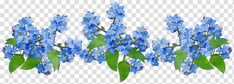 flower blue scorpion grasses plants tulip, Watercolor, Paint, Wet Ink, Bluebonnet transparent background PNG clipart