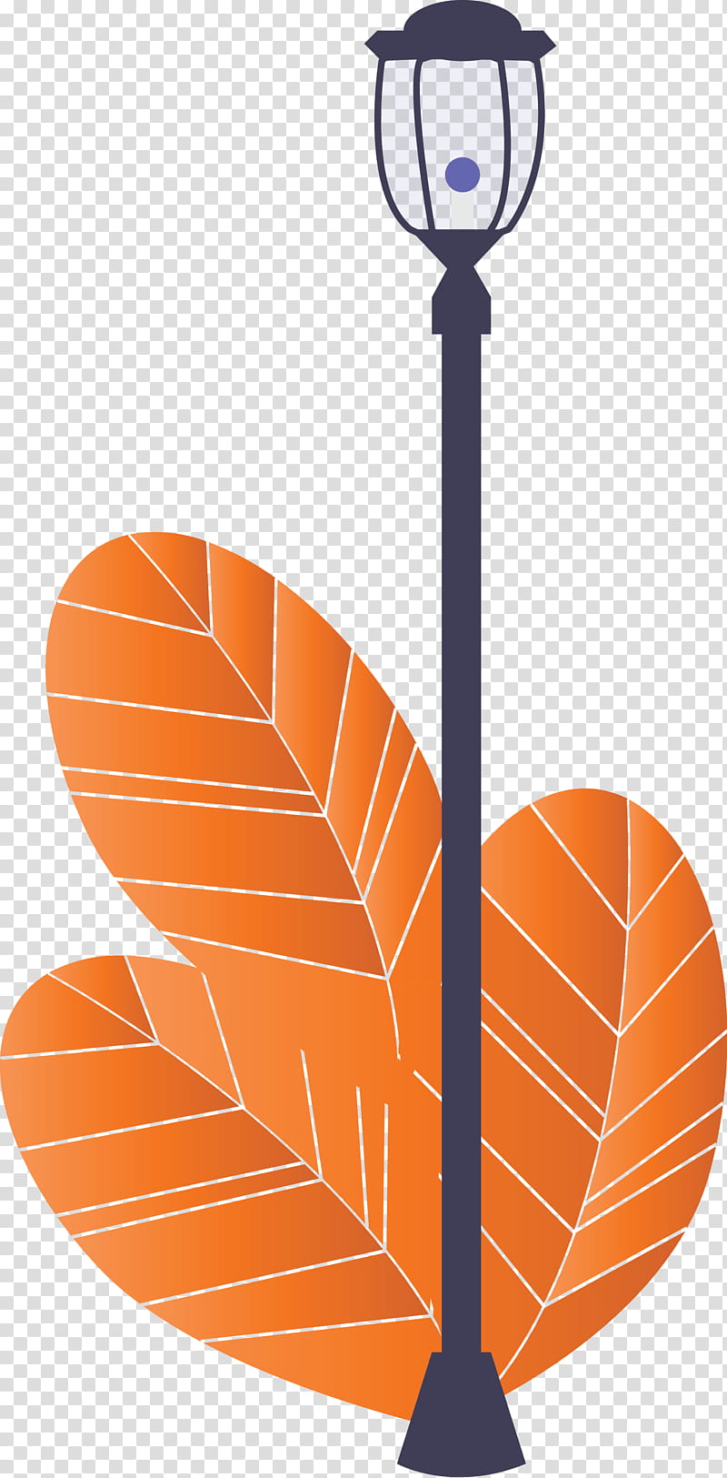 Street light tree, Orange, Basketball, Leaf, Team Sport, Basketball Hoop transparent background PNG clipart