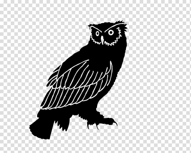 bird owl bird of prey beak eastern screech owl, Wing, Branch, Falconiformes, Western Screech Owl, Wildlife transparent background PNG clipart