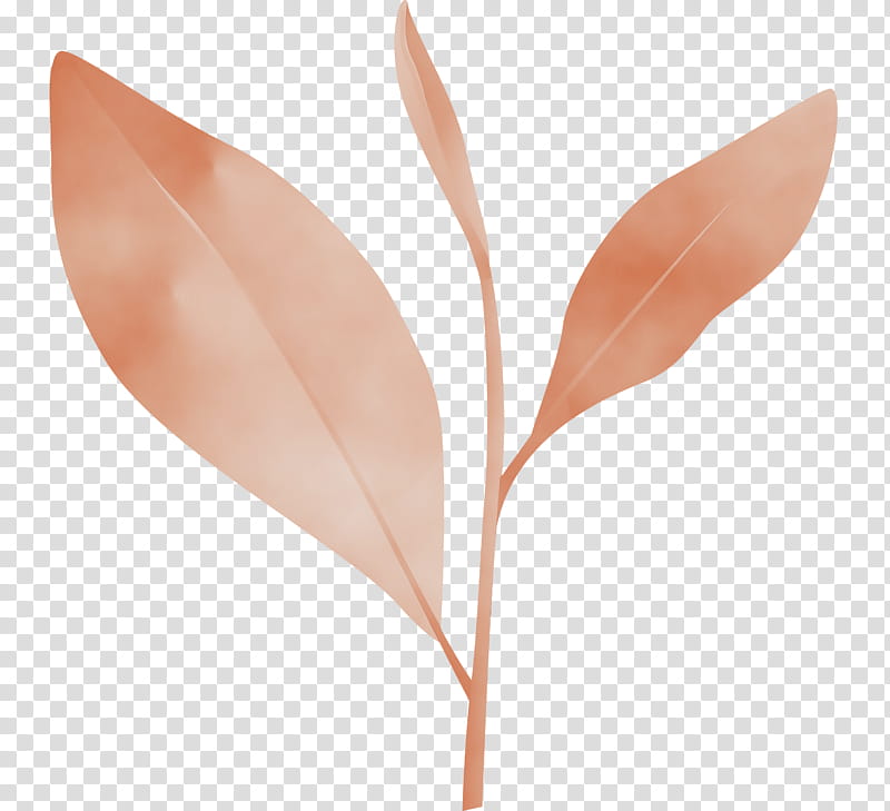 leaf flower plant tree anthurium, Tea Leaves, Spring
, Watercolor, Paint, Wet Ink, Eucalyptus transparent background PNG clipart