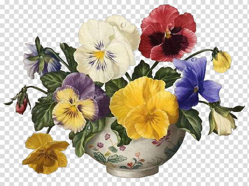 flower wild pansy pansy plant hawaiian hibiscus, Petal, Watercolor Paint, Yellow, Bouquet, Violet Family, VIOLA, Still Life transparent background PNG clipart