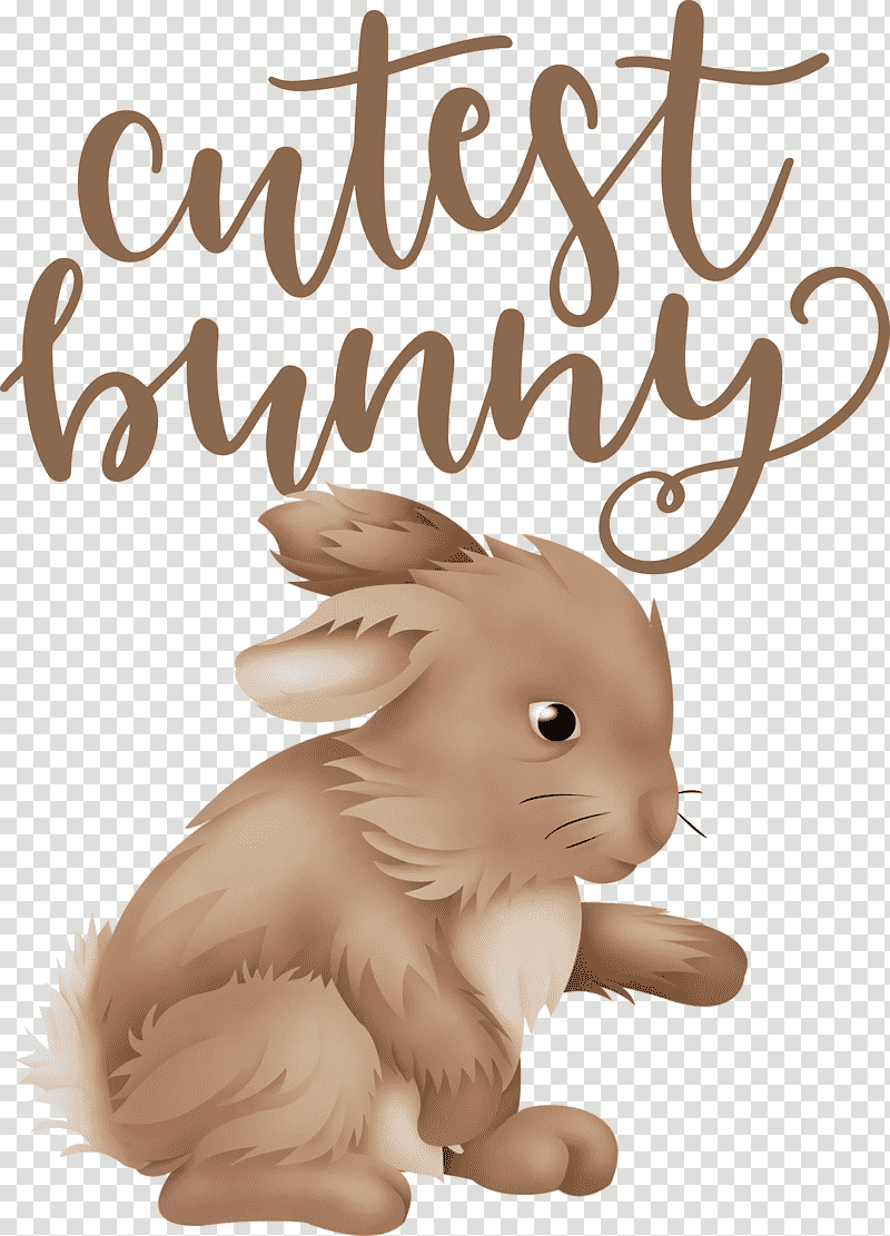 Cutest Bunny Happy Easter Easter Day, Snout, Whiskers, Dog, Meter, Tail, Rabbit transparent background PNG clipart