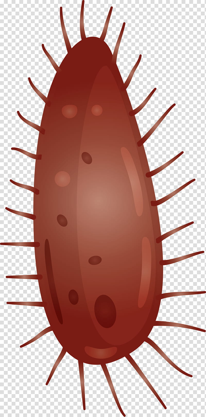 Virus, Cockroach, Pest, Insect transparent background PNG clipart