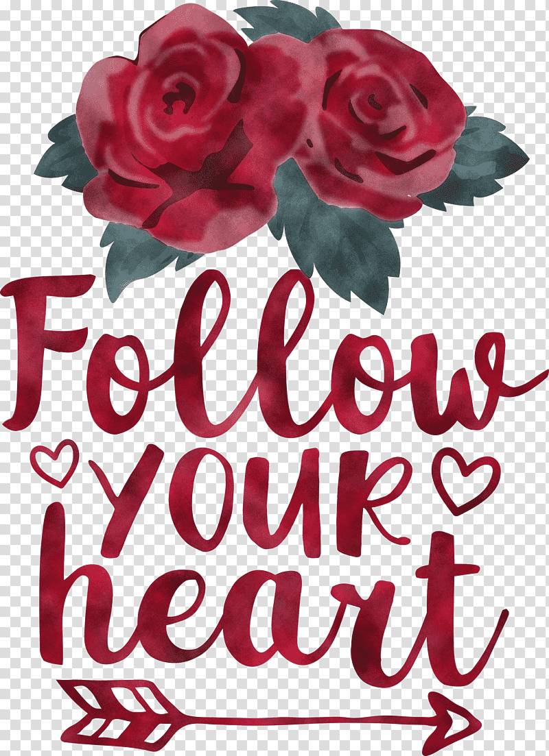 Follow Your Heart Valentines Day Valentine, Quote, Floral Design, Garden Roses, Cut Flowers, Rose Family, Petal transparent background PNG clipart