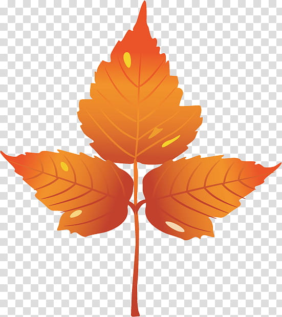 Maple leaf, Tree, Cartoon, Upload, Yellow, Gratis, Autumn, Kilobyte transparent background PNG clipart