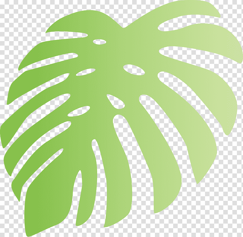 monstera tropical leaf, Plant Stem, Tree, Green, Meter, Line, Fruit transparent background PNG clipart