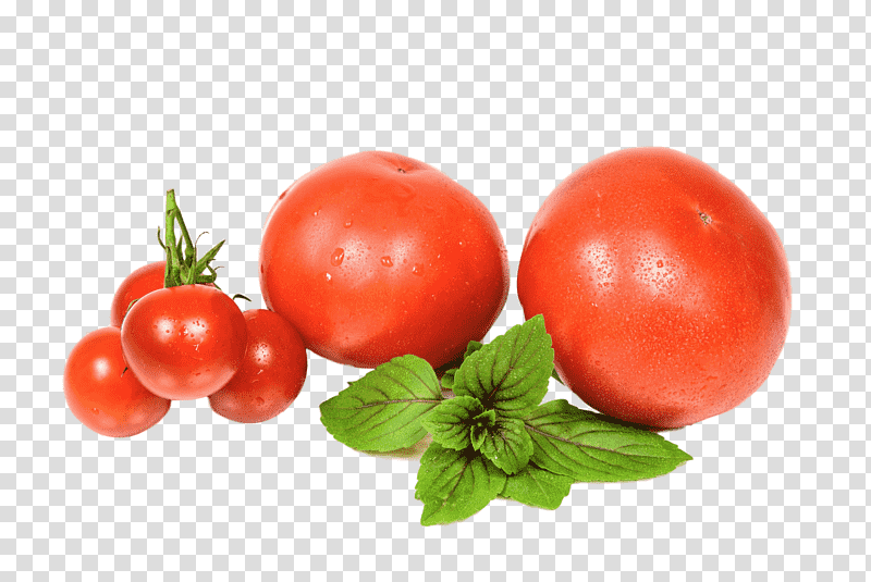 Tomato Organic food Recipe Salad, Balsamic Vinegar, Zucchini, Microgreen, Aubergines, Olive Oil, Tomato Sauce transparent background PNG clipart