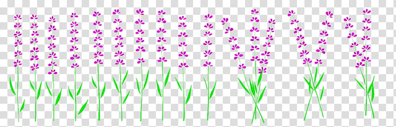 shower toto plant stem violet leaf, Green, Sales Quote, Price, Petal, Wall, Meadow, Plants transparent background PNG clipart