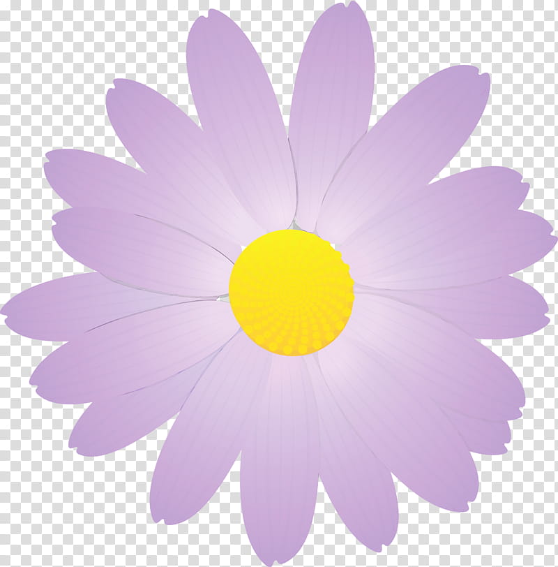 Daisy, Marguerite Flower, Spring Flower, Watercolor, Paint, Wet Ink, Petal, Violet transparent background PNG clipart