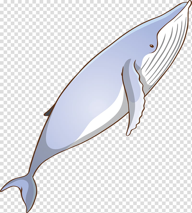 bottlenose dolphin fin blue whale cetacea dolphin, Watercolor Whale, Common Dolphins transparent background PNG clipart