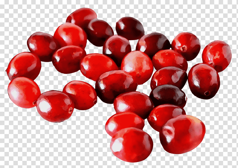 cranberry natural foods superfood lingonberry berry, Watercolor, Paint, Wet Ink, Pink Peppercorn, Fruit transparent background PNG clipart