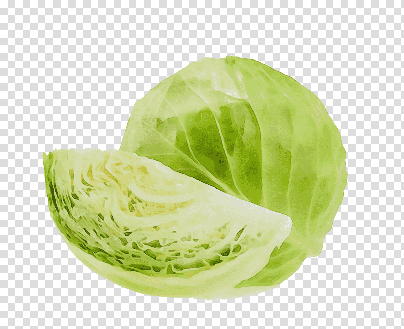 cabbage lettuce vegetable collard romaine lettuce, Christ The King, St Andrews Day, St Nicholas Day, Watch Night, Thaipusam, Tu Bishvat transparent background PNG clipart