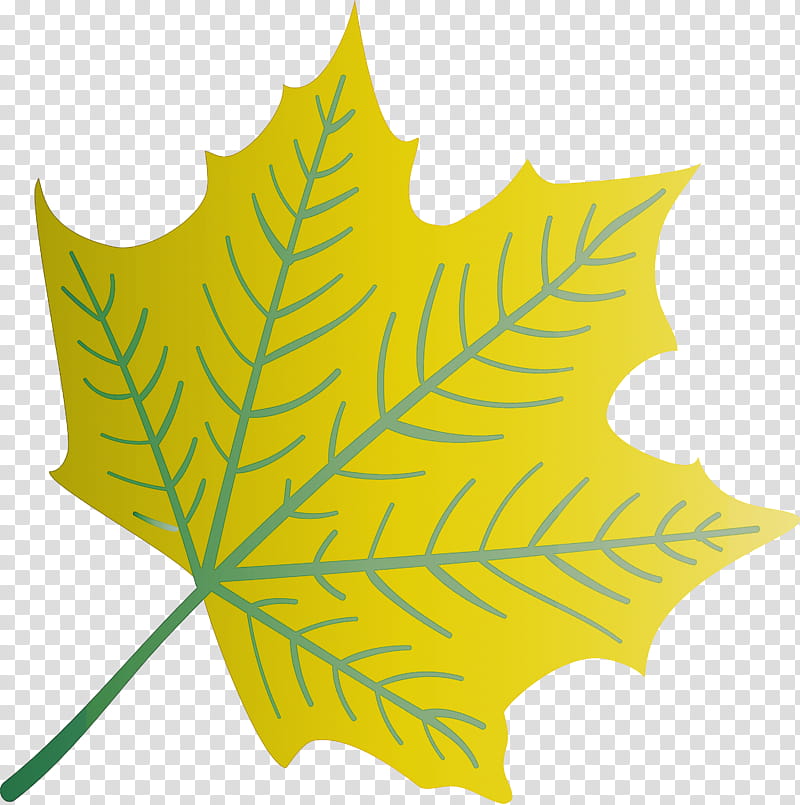 Autumn Leaf Colourful Foliage Colorful Leaves, COLORFUL LEAF, Plant Stem, Autumn Leaf Color, Red Maple, Maple Leaf, Deciduous, Green transparent background PNG clipart