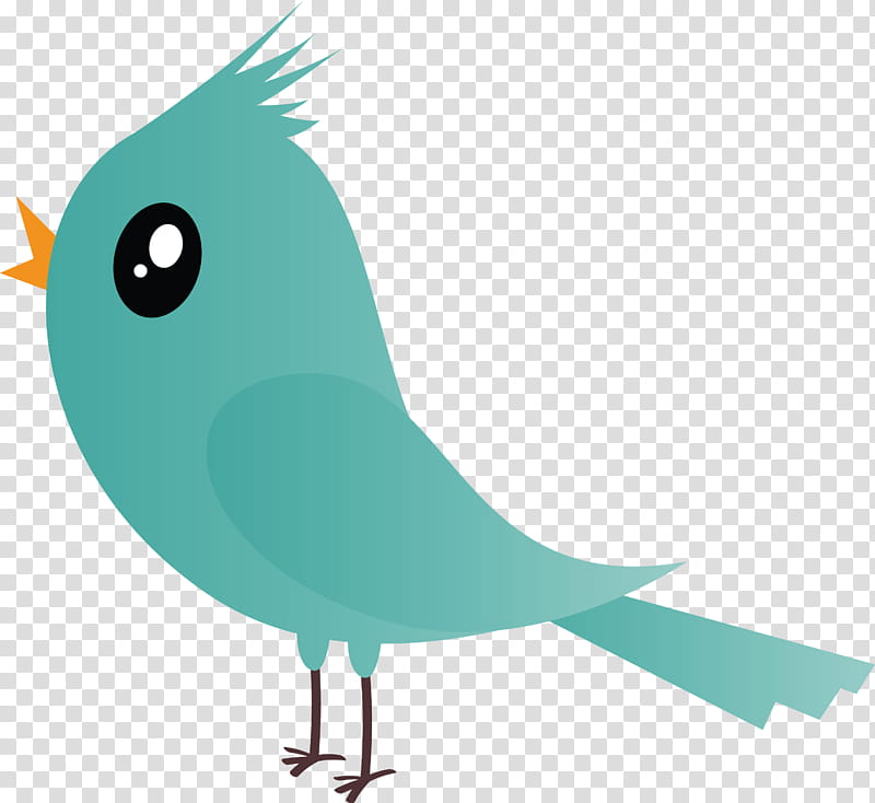 Feather, Cartoon Bird, Cute Bird, Beak, Tail, Parrot, Perching Bird, Songbird transparent background PNG clipart