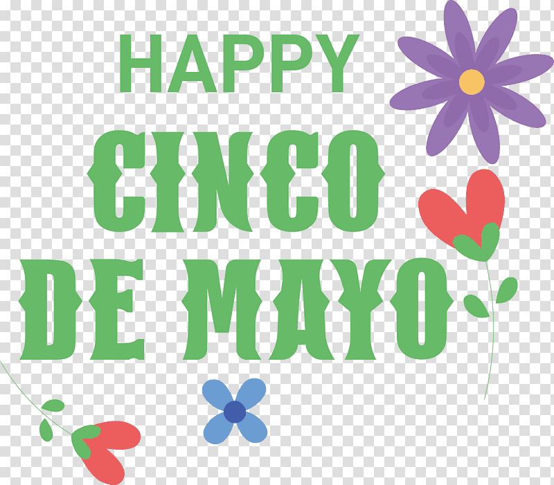 Cinco de Mayo Fifth of May Mexico, Floral Design, Logo, Line, Meter, Happiness, Valentines Day transparent background PNG clipart