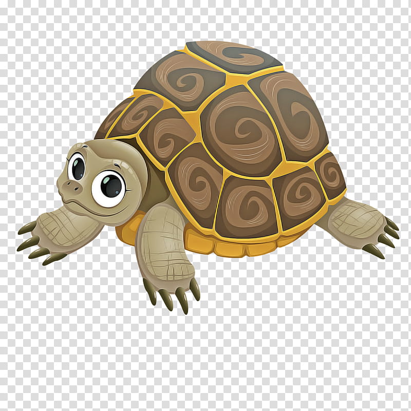 box turtles reptiles turtles tortoise sea turtles, Loggerhead Sea Turtle, Amphibians, Lizard, Tortoise M, Snout, Pond Turtles, Caretta transparent background PNG clipart