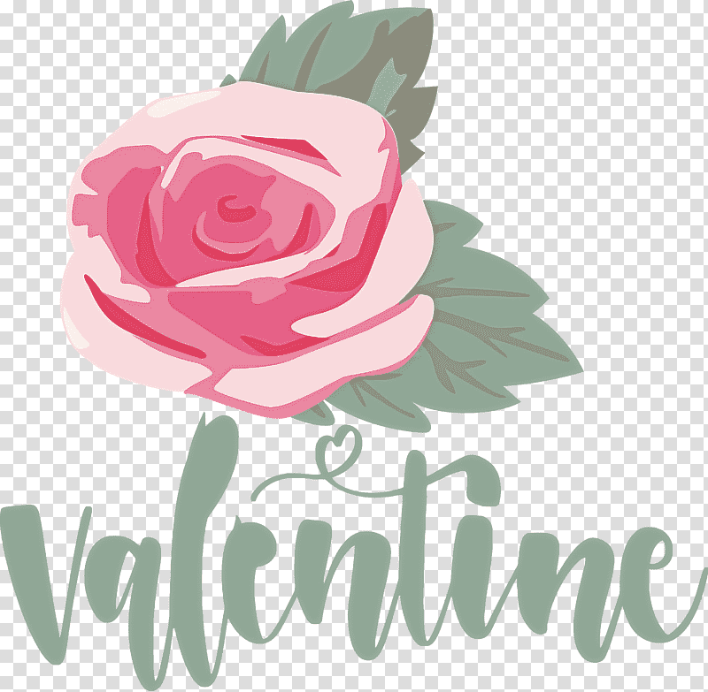 Valentines Day Valentine Love, Floral Design, Garden Roses, Cut Flowers, Cabbage Rose, Petal, Rose Family transparent background PNG clipart