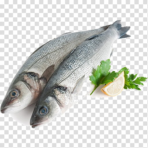 fish fish fish products oily fish herring, Seafood, Sardine, Forage Fish, Capelin, Mackerel, Bass, Milkfish transparent background PNG clipart