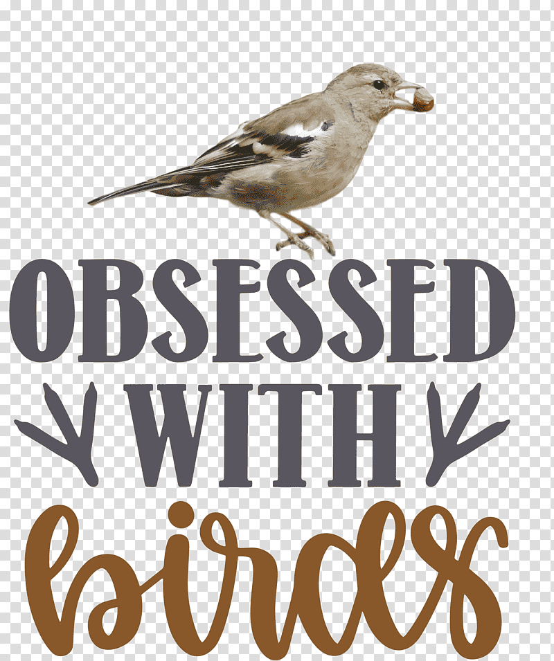 Obsessed With Birds Bird Birds Quote, Finches, Beak, Meter, Science, Biology transparent background PNG clipart