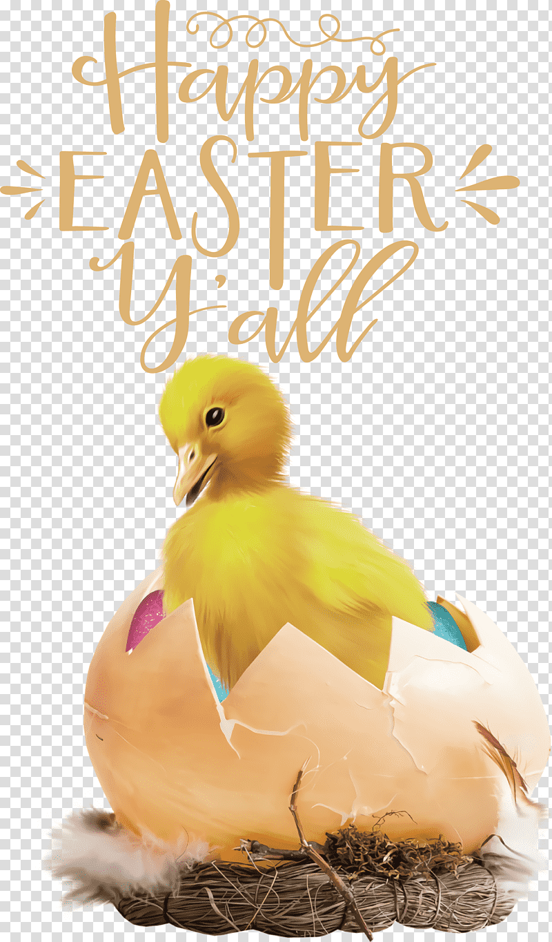 Happy Easter Easter Sunday Easter, Easter
, Duck, Waterfowl, Water Bird, Beak, Birds transparent background PNG clipart