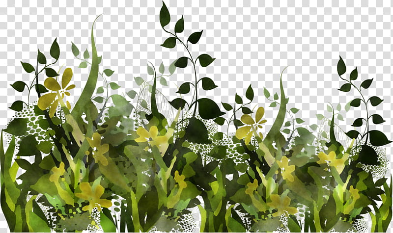 vegetation plant flower grass grass family, Leaf, Herbaceous Plant, Seaweed, Goldenrod transparent background PNG clipart