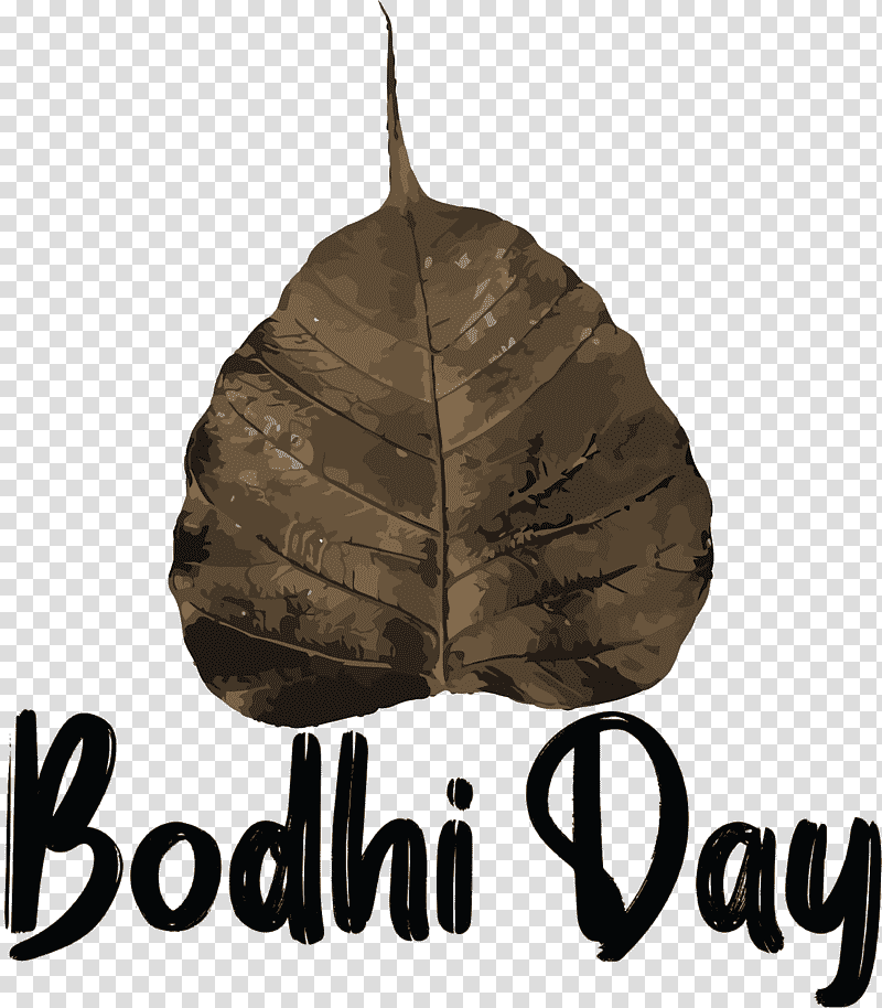 Bodhi Day, Leaf, Meter, Biology, Plants, Plant Structure, Science transparent background PNG clipart