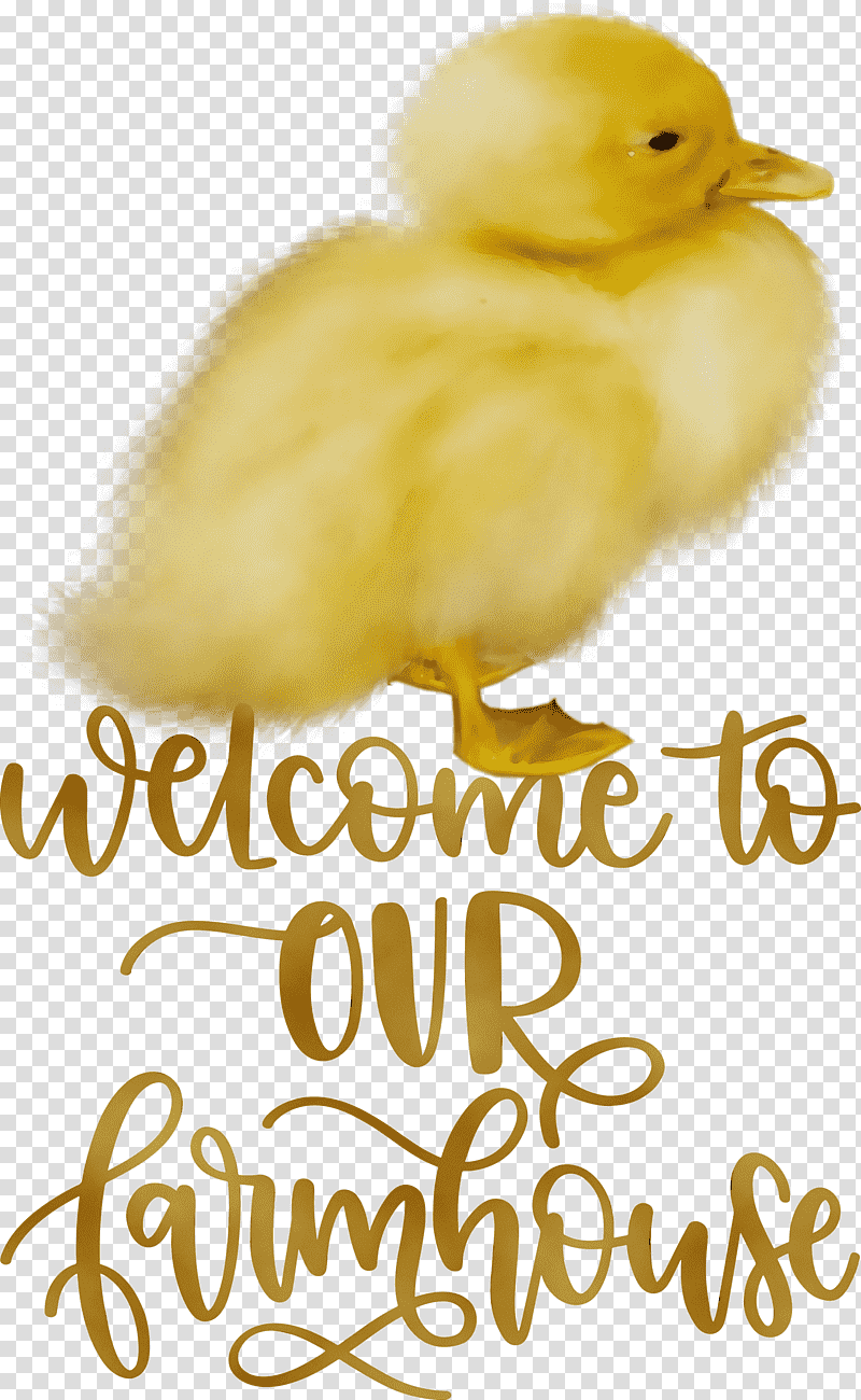 duck birds water bird beak poultry, Farmhouse, Watercolor, Paint, Wet Ink, Live, Yellow transparent background PNG clipart