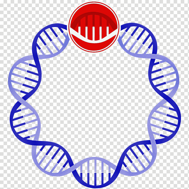 dna adenine, Royaltyfree, , Video Clip transparent background PNG clipart