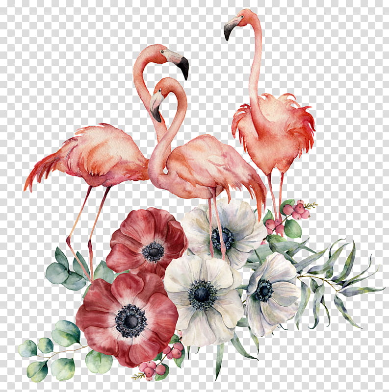 Flamingo, Greater Flamingo, Bird, Water Bird, Pink, Plant, Flower, Watercolor Paint transparent background PNG clipart