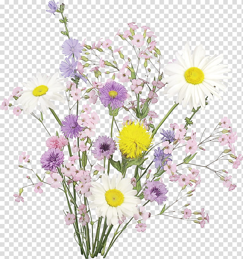 Floral design, Watercolor, Paint, Wet Ink, Chrysanthemum, Cut Flowers, Roman Chamomile, Herbaceous Plant transparent background PNG clipart