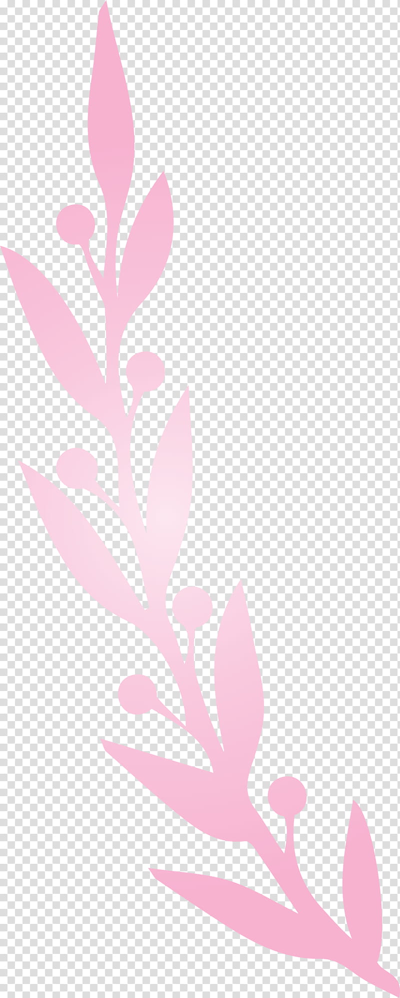 plant stem petal leaf twig pink m, Leaf Cartoon, Leaf , Leaf Abstract, Meter, Plants, Plant Structure, Science transparent background PNG clipart